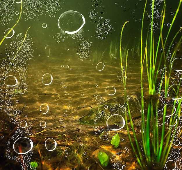 Искусство чтения воды: важность понимания подводных структур