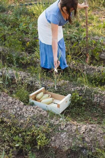 Повышение экологического образования и просвещения