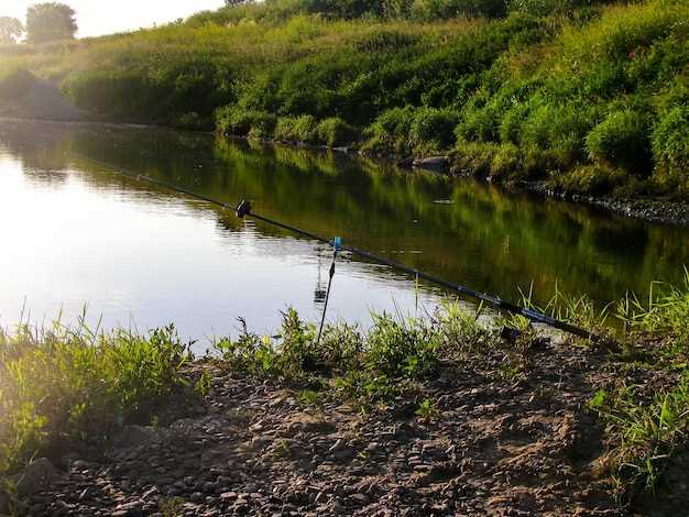 Возрастающая популярность экотуризма и рыболовства в водных просторах Рязанской области Рост экотуризма и рыболовства в водоемах Рязанской области.