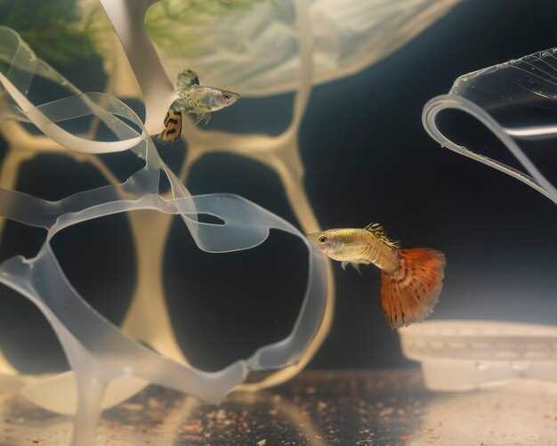 Роль технологий в рыбоводстве и биологическом контроле популяции рыбы