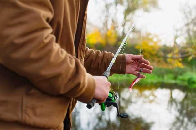 Множество дополнительных возможностей