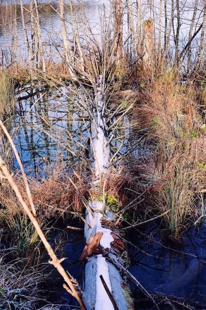 Особенности ловли осетра