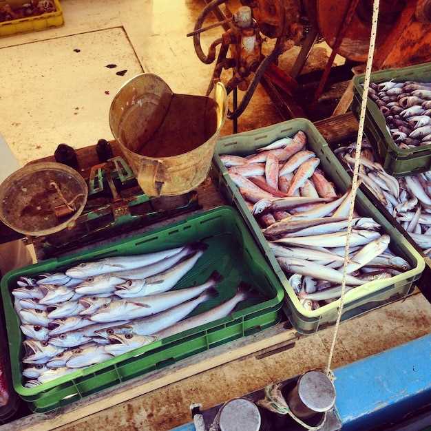 Развитие туризма