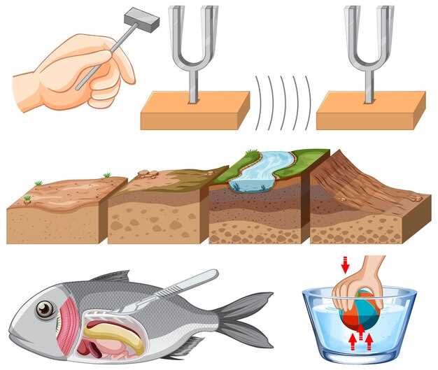 Применение эхолотов в коммерческой рыбной отрасли