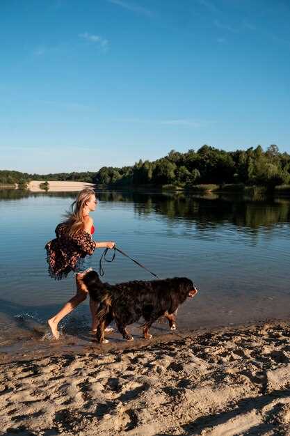 Заключение