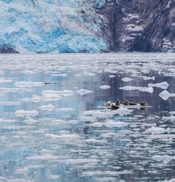 Ловля арктического гольца в отдаленных озерах ХМАО - исследование и особенности. Ловля арктического гольца в отдаленных озерах Ханты-Мансийского автономного округа.