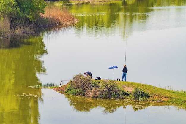 Лучшие советы по использованию приманок для успешной ловли линя на мирных озерах Ульяновской области Приманка ловли линя на мирных озерах Ульяновской области.