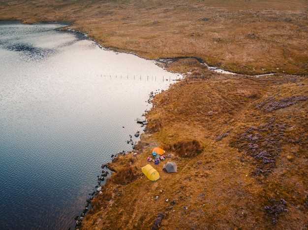 Разнообразие видов рыбы