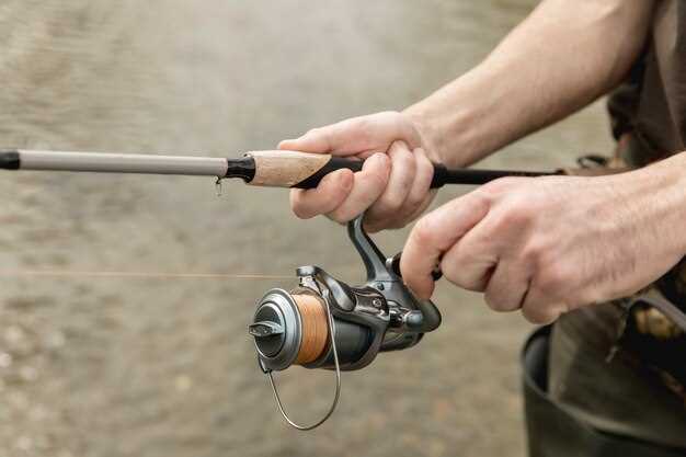 Открытие новых горизонтов