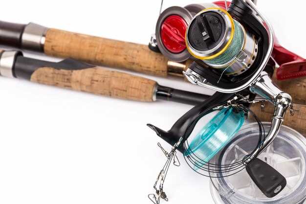 Оснащение для успешной зимней рыбалки.