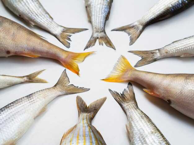 Выбор правильной лески для эффективного лова карпа и щуки