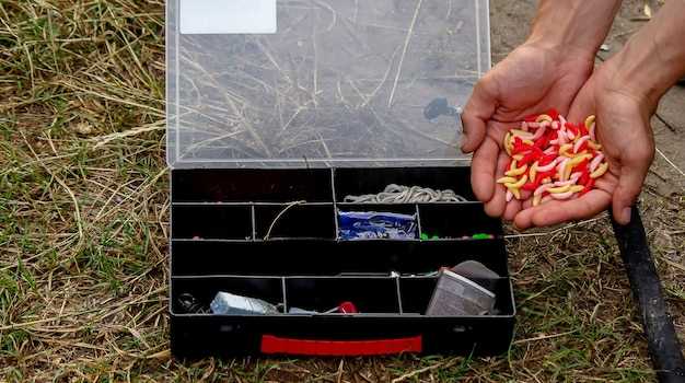 Как выбрать подходящую коробку для организации рыболовных снастей? Сравнение различных типов. Сравнение различных типов коробок для рыболовных снастей для организации