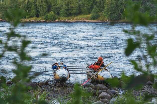 Устье реки Алтай