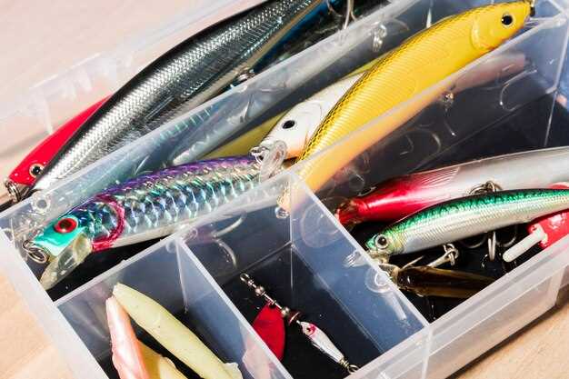 Разнообразие коробок для рыболовных снастей для улучшения прибрежной рыбалки Изучение различных типов коробок для рыболовных снастей для прибрежной рыбалки.