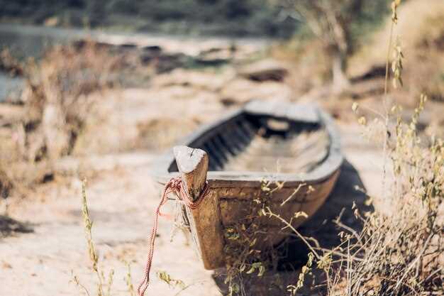 Открытие сокровищ