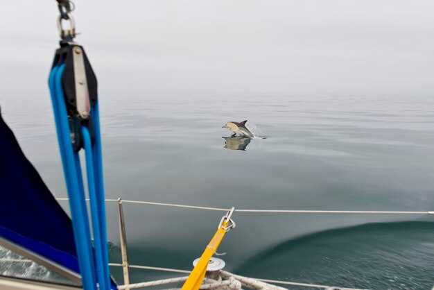 Другое снаряжение