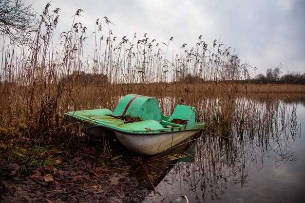 Рыбалка на плотву
