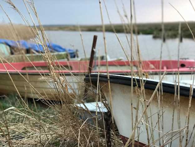 Подготовка к рыбалке