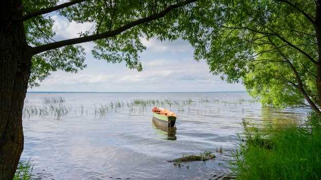 Прекрасные озера Смоленской области - идеальное место для ловли язя. Ловля язя в прекрасных озерах Смоленской области.