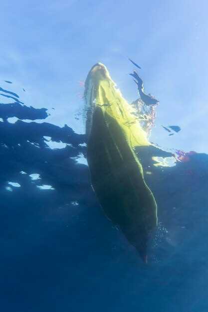 3. Используйте специальные техники плывучести