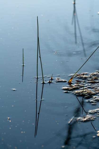 Классические техники ловли судака