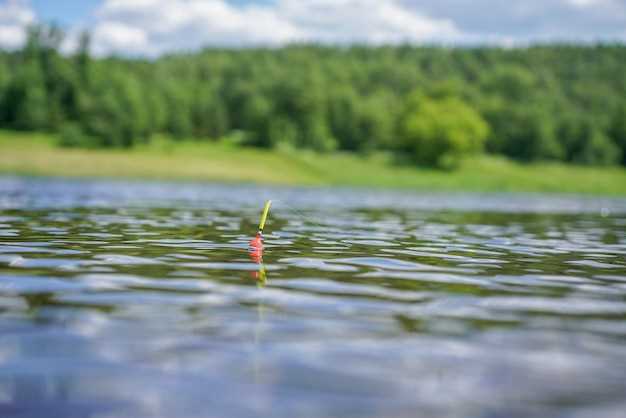 Разнообразные приманки для эффективной ловли линя на спокойных озерах Нижегородской области Приманка ловли линя на мирных озерах Нижегородской области.