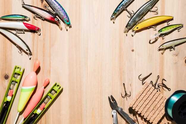 Разновидности коробок для рыболовных принадлежностей для рыбалки с серфинга - изучение и выбор. Изучение различных типов коробок для рыболовных снастей для серфинговой рыбалки.