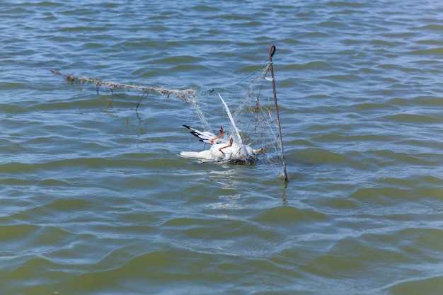 Секреты успешной ловли судака в дельте Волги