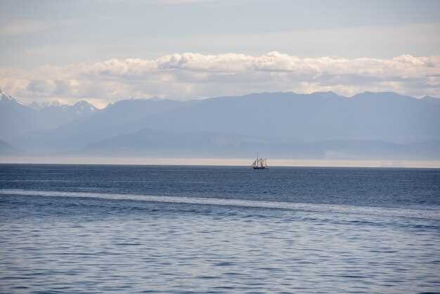 Подготовка к ловле скумбрии в Азовском море
