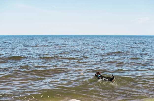 Выбор удочки