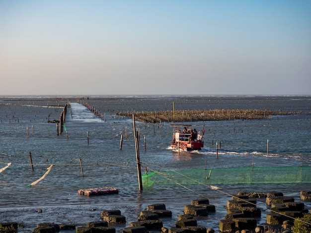 Выбор крючка и мормышки