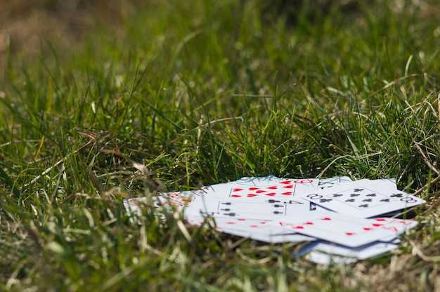 Снасти и приманки