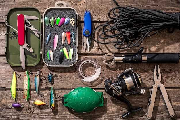 1. Garmin Striker Plus 4cv