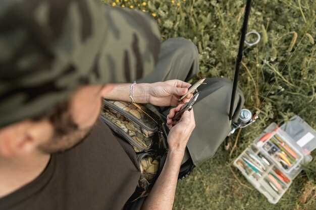 Описание и назначение рыболовных фонарей